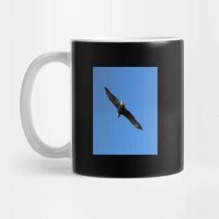 Bald Eagle in Flight, photo Mug